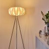 ZOBUS Floor Lamp matt nickel, 1-light source