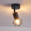 Baripada Ceiling Light black, 1-light source
