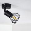 Baripada Ceiling Light black, 1-light source