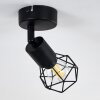 Baripada Ceiling Light black, 1-light source