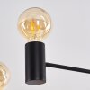 PAMUNKEY Pendant Light black, 6-light sources