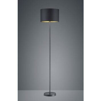Trio HOSTEL Floor Lamp black, 1-light source