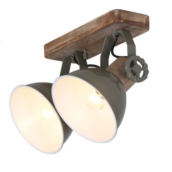 Steinhauer GEARWOOD spotlight green, 2-light sources