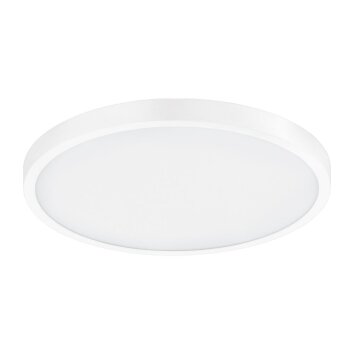 EGLO FUEVA-A light LED white, 1-light source, Remote control
