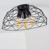 Hajom Ceiling Light black, 3-light sources