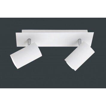 Trio 8024 ceiling light white, 2-light sources
