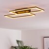 CHEKA Ceiling Light LED black, 2-light sources, Remote control