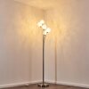 Bernado Floor Lamp matt nickel, 5-light sources