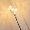 Bernado Floor Lamp matt nickel, 5-light sources