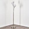 Bernado Floor Lamp matt nickel, 5-light sources