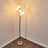 Bernado Floor Lamp matt nickel, 5-light sources