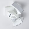 FOROYAR Outdoor Wall Light LED white, 2-light sources, Motion sensor