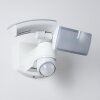 FOROYAR Outdoor Wall Light LED white, 2-light sources, Motion sensor