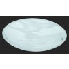 Trio 6196 ceiling light aluminium, white, 1-light source