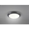 Reality CAMARO Outdoor Ceiling Light anthracite, 2-light sources