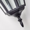 Hongkong outdoor wall light black, 1-light source