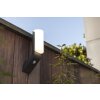 Lutec BATI Outdoor Wall Light LED anthracite, 1-light source, Motion sensor