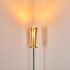 Tegna Floor Lamp black-gold, 1-light source