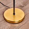 Tegna Floor Lamp black-gold, 1-light source