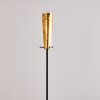 Tegna Floor Lamp black-gold, 1-light source