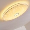 CIRQUE Ceiling light LED chrome, 1-light source, Remote control, Colour changer