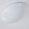 Quebec ceiling light LED white, 1-light source, Remote control, Colour changer