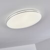 Genthin Ceiling Light LED white, 1-light source, Remote control
