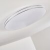 Genthin Ceiling Light LED white, 1-light source, Remote control