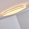 Genthin Ceiling Light LED white, 1-light source, Remote control