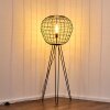 FLAMBEAU Floor Lamp black, 1-light source