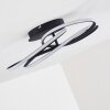 Belgorod Ceiling Light LED black, 1-light source