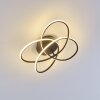 Belgorod Ceiling Light LED black, 1-light source