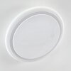 Lowell Ceiling light LED white, 2-light sources, Remote control, Colour changer