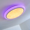 Lowell Ceiling light LED white, 2-light sources, Remote control, Colour changer
