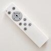 Lowell Ceiling light LED white, 2-light sources, Remote control, Colour changer