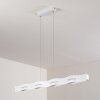 NAGOLD Pendant Light LED white, 1-light source