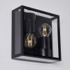 MINAKATA Outdoor Wall Light black, 2-light sources