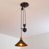 Gudem Pendant Light black-gold, 1-light source
