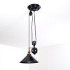 Gudem Pendant Light black-gold, 1-light source