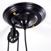 Gudem Pendant Light black-gold, 1-light source