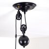 Gudem Pendant Light black-gold, 1-light source