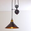Gudem Pendant Light black-gold, 1-light source
