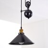 Gudem Pendant Light black-gold, 1-light source