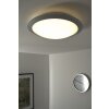 Trio 6265 ceiling light LED titanium, white, 1-light source