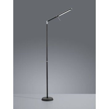 Trio FILIGRAN Floor Lamp LED black, 1-light source