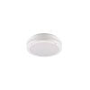 Reality KENDAL Outdoor Ceiling Light LED white, 1-light source