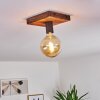 AMNICON Ceiling Light Dark wood, black, 1-light source