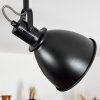 Ceiling Light Koppom black, 2-light sources