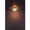 Globo DEULOR Ceiling Light colourful, 2-light sources