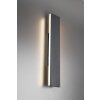 Wall Light Trio Leuchten CONCHA LED anthracite, 2-light sources
